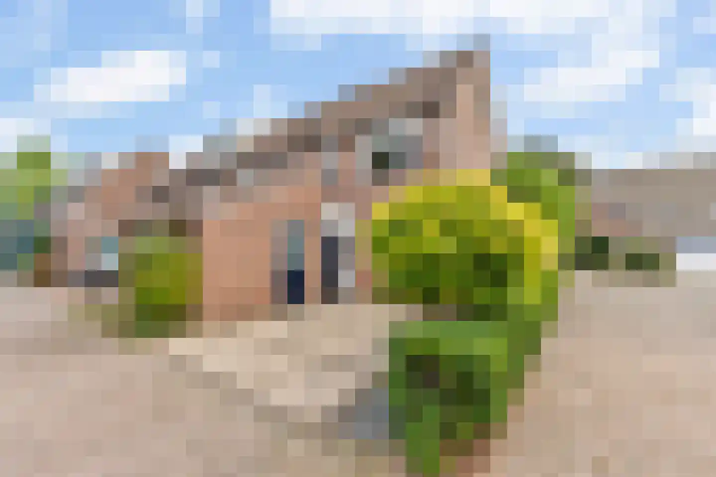 Reigerbos 24 Huissen thumbnail 34