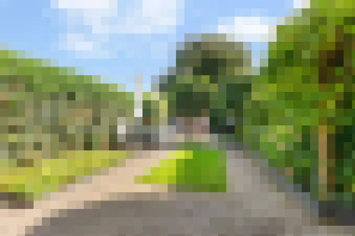 Reigerbos 24 Huissen thumbnail 4