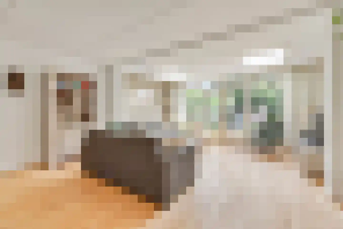 Reigerbos 24 Huissen thumbnail 7