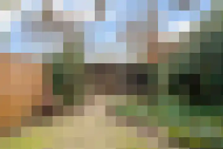 Reigerbos 26 Huissen thumbnail 11