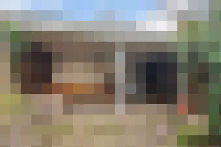 Reigerbos 26 Huissen thumbnail 12