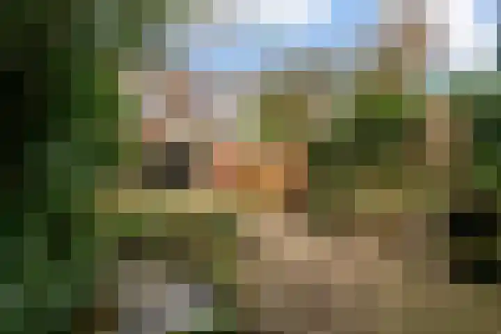 Reigerbos 26 Huissen thumbnail 13