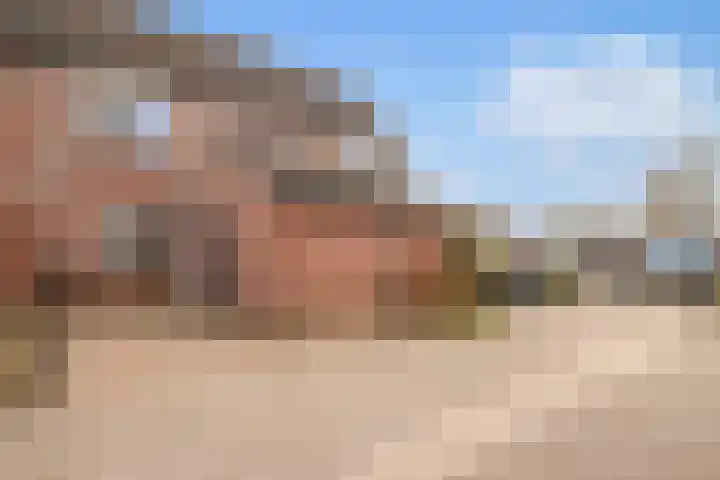 Reigerbos 26 Huissen thumbnail 29