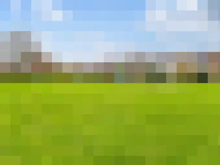 Reigerbos 26 Huissen thumbnail 31