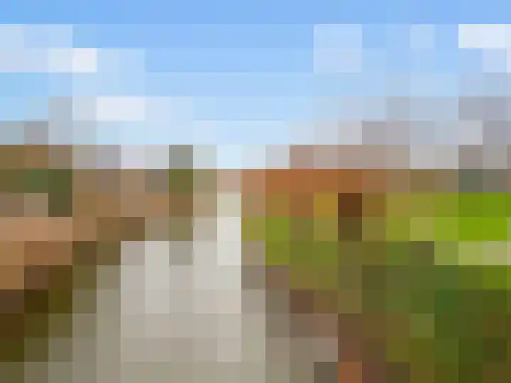 Reigerbos 26 Huissen thumbnail 32