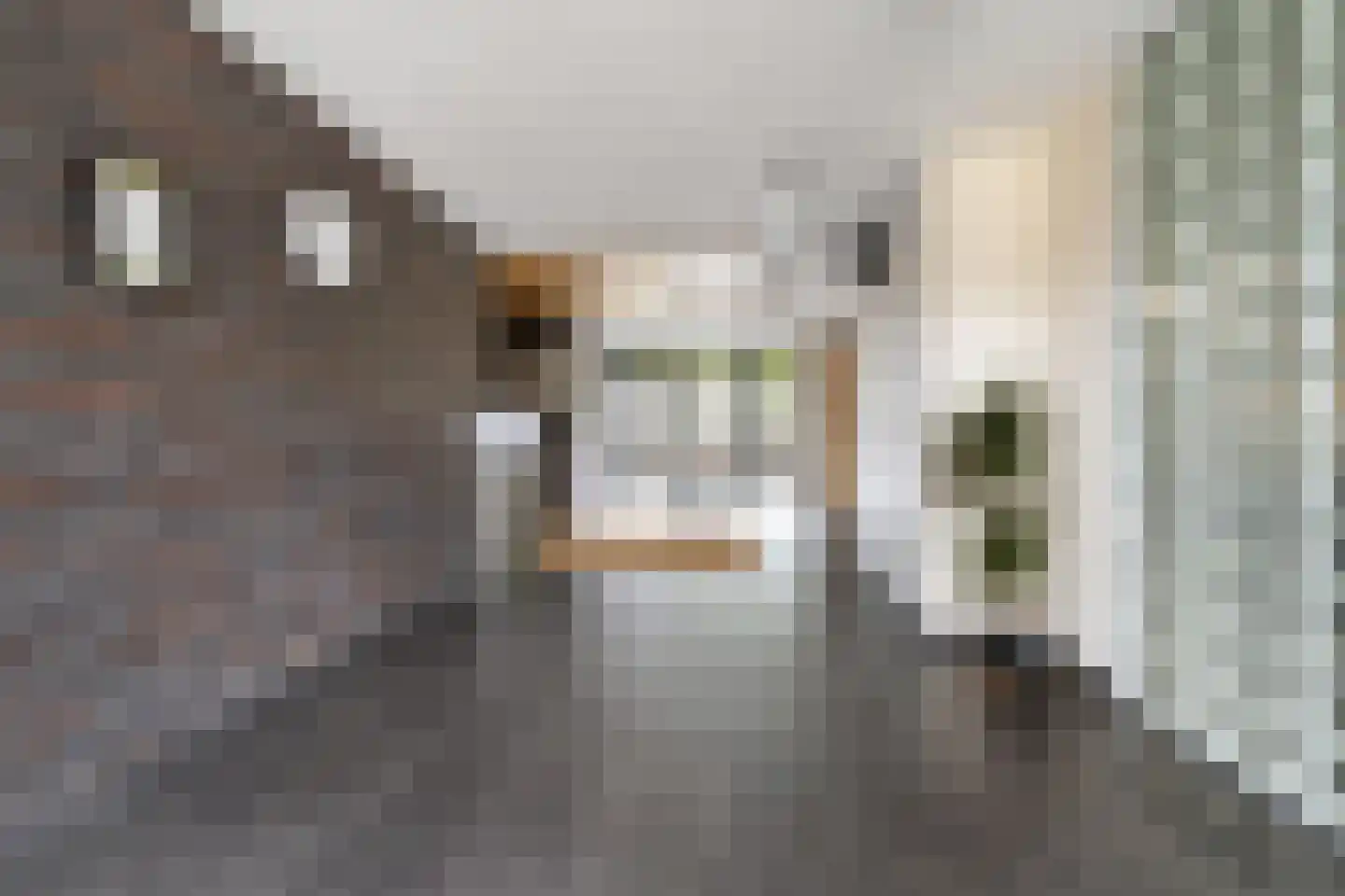 Reigerdonk 6 Veghel thumbnail 10