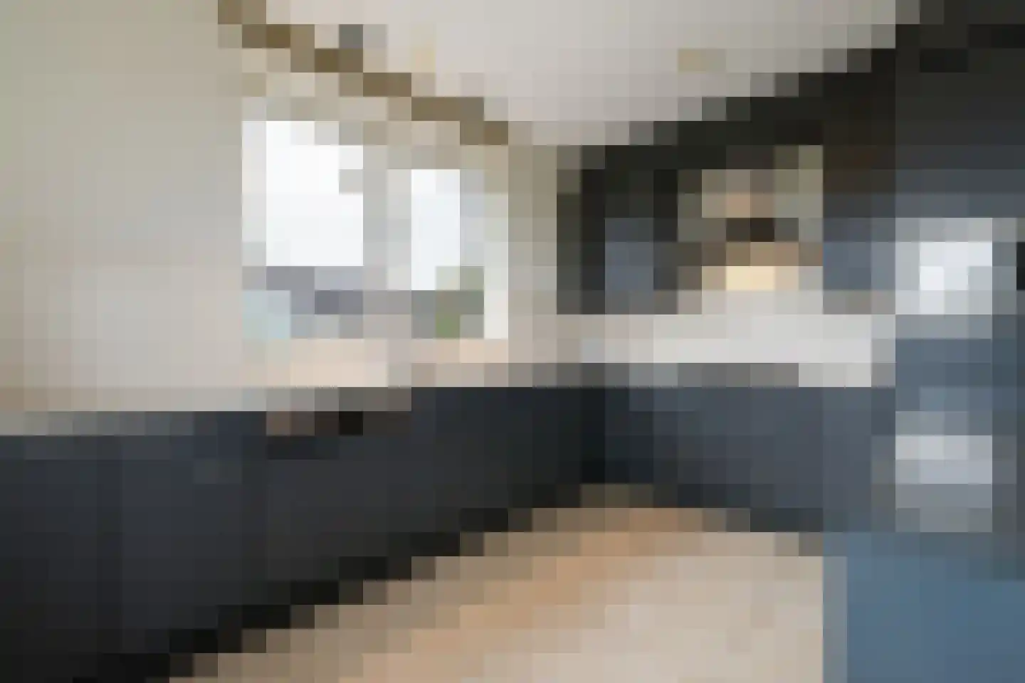 Reigerdonk 6 Veghel thumbnail 23