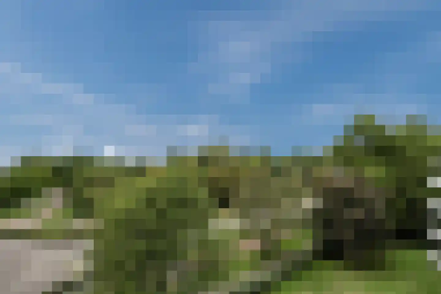Reigerdonk 6 Veghel thumbnail 40