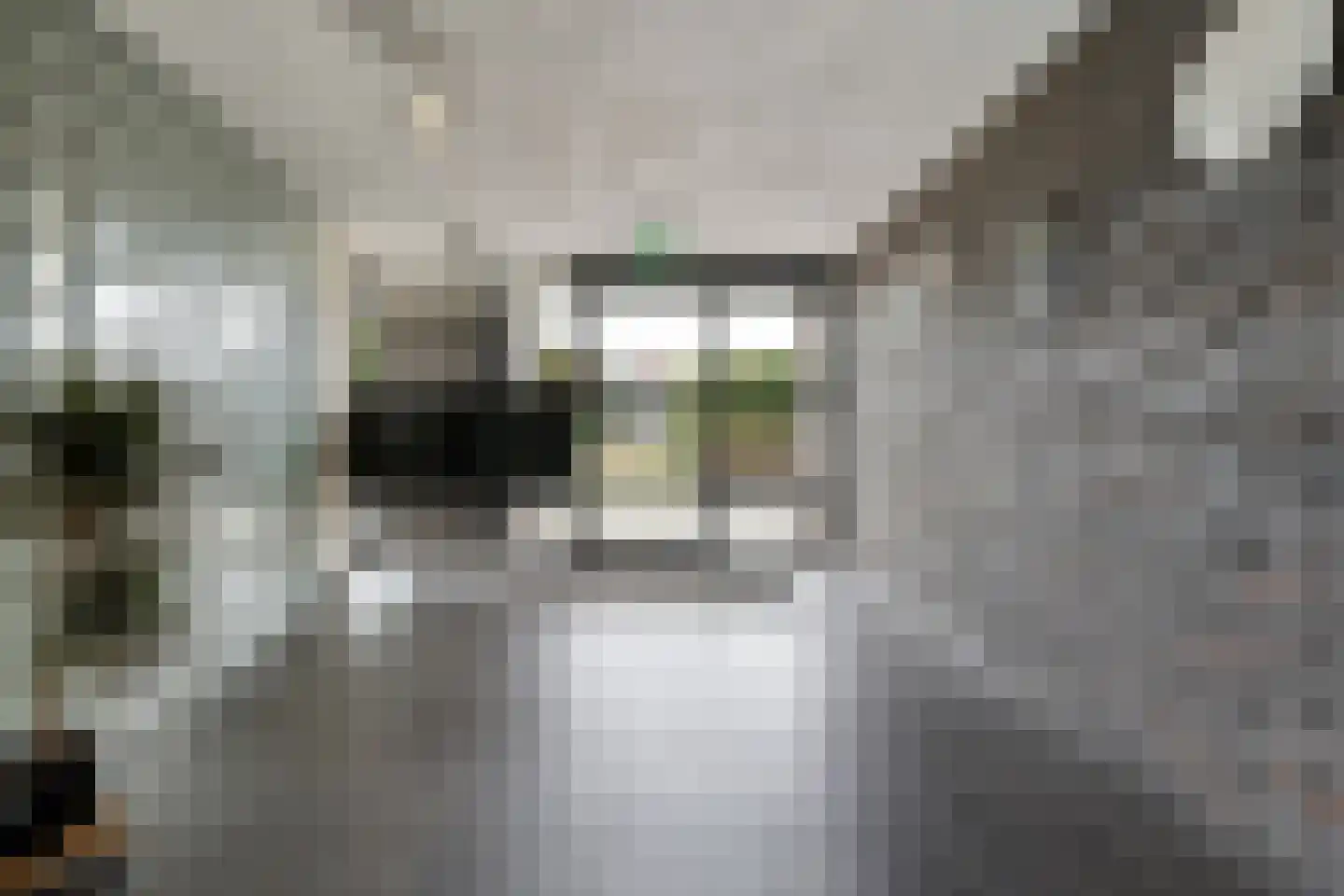 Reigerdonk 6 Veghel thumbnail 9