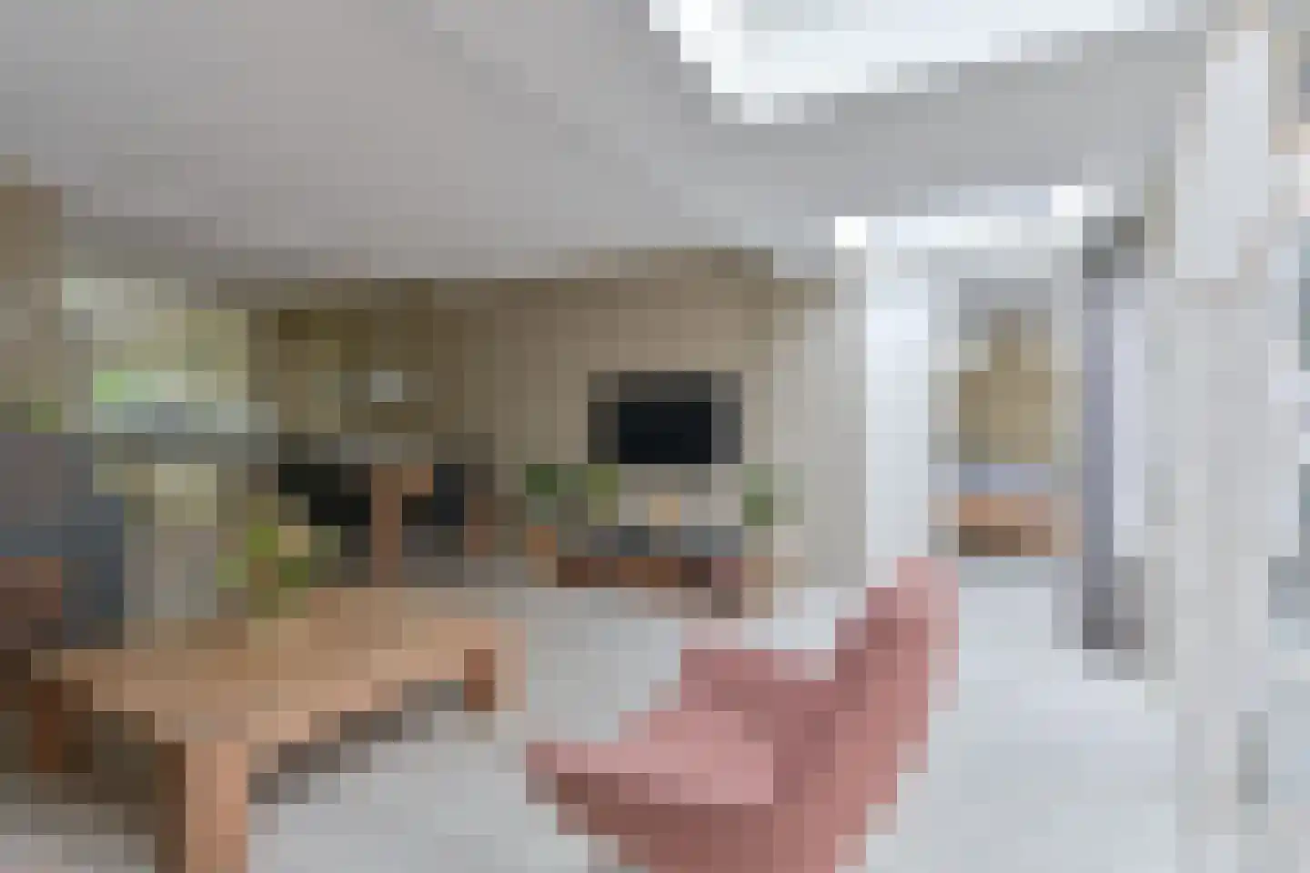 Reigerhof 23 Ter Apel thumbnail 35