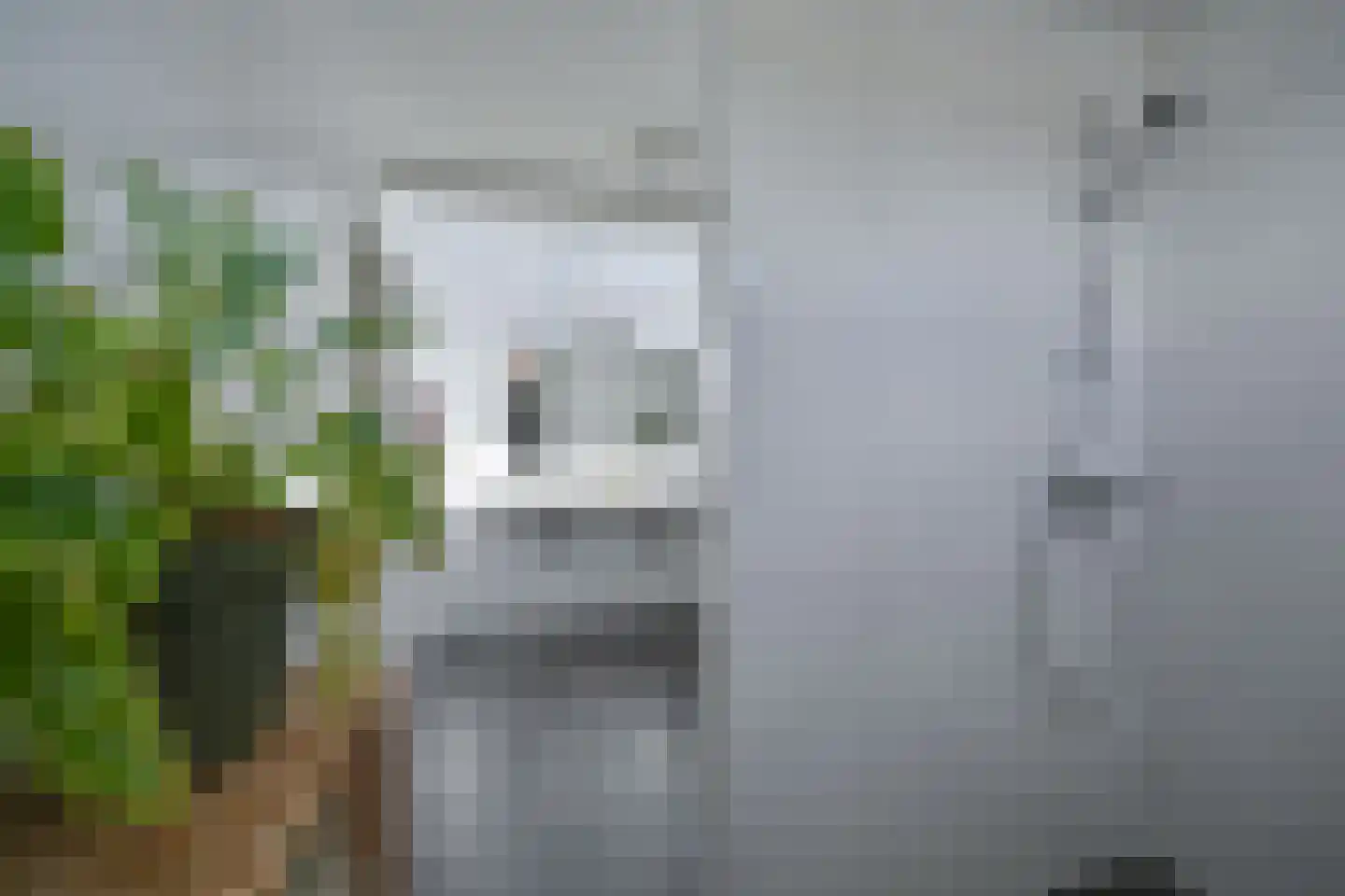 Reigerhof 23 Ter Apel thumbnail 45
