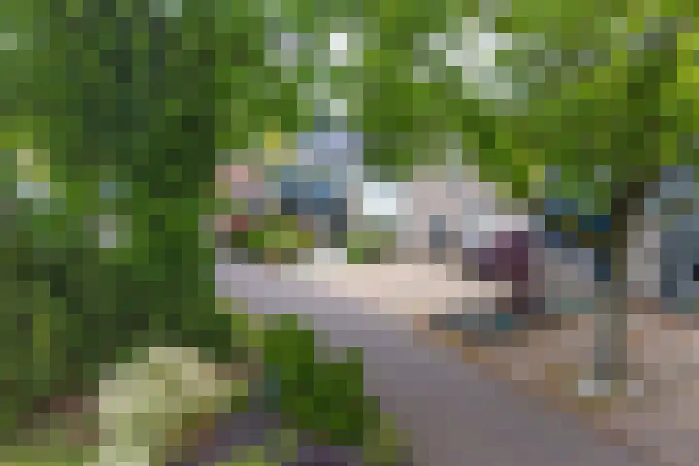 Reigerhof 23 Ter Apel thumbnail 88