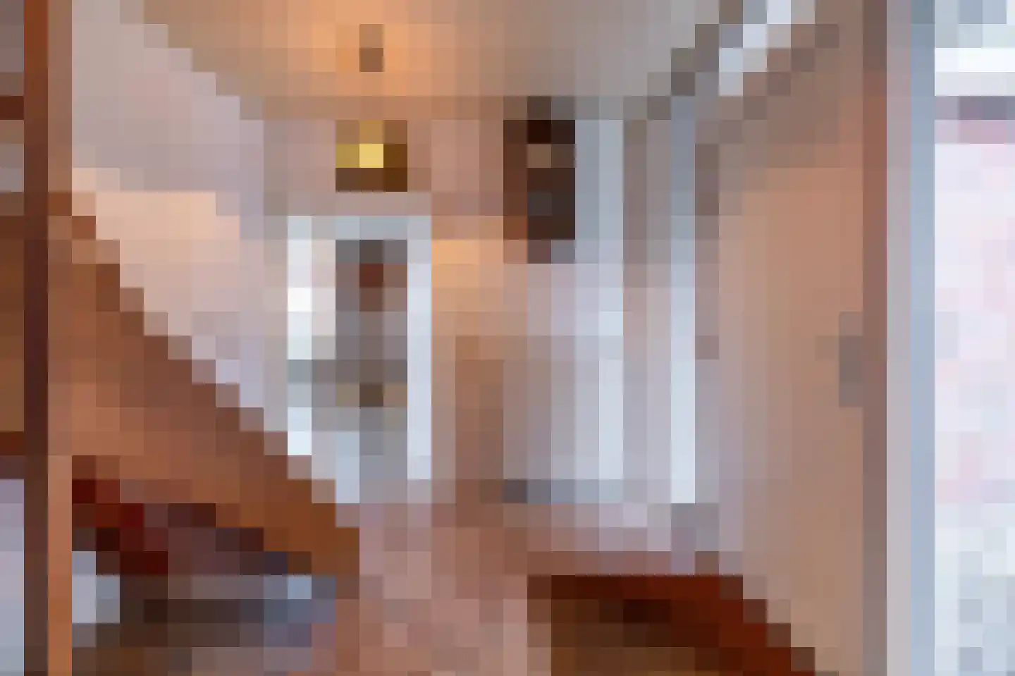 Reigerhof 3 Ten Boer thumbnail 11