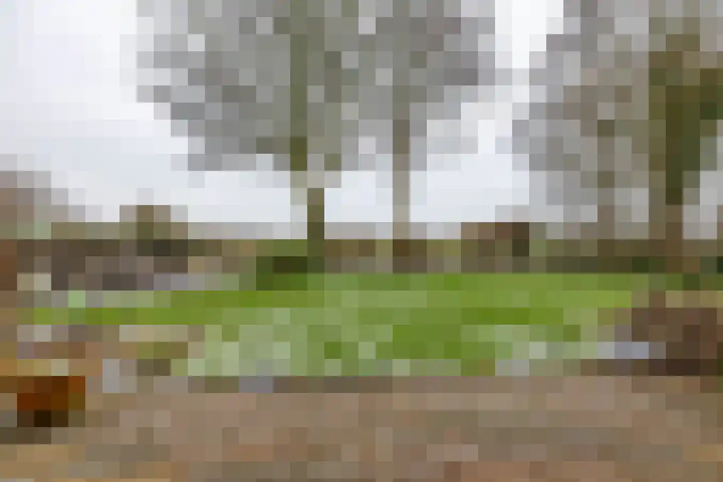 Reigerhof 3 Ten Boer thumbnail 16