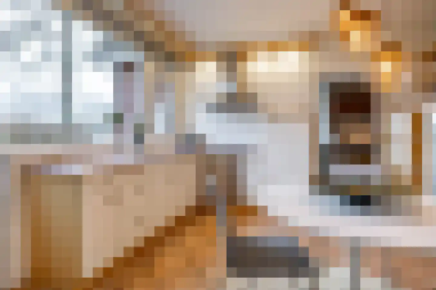 Reigerhof 3 Ten Boer thumbnail 21