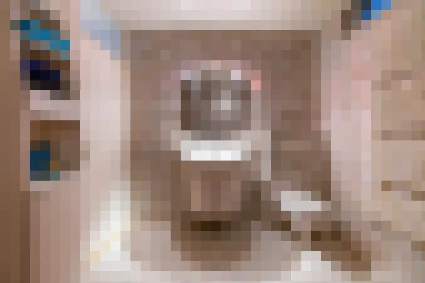 Reigerhof 3 Ten Boer thumbnail 30