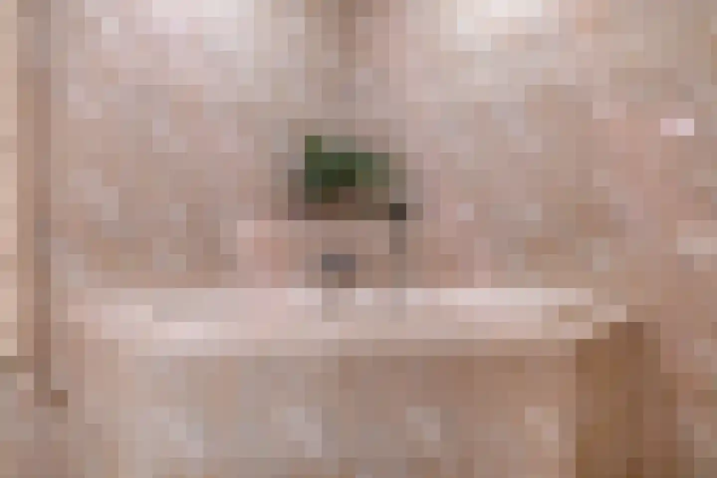 Reigerhof 3 Ten Boer thumbnail 31