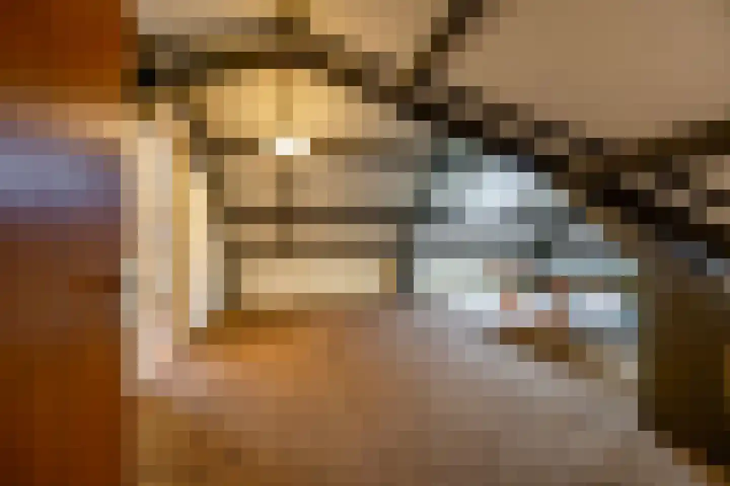 Reigerhof 3 Ten Boer thumbnail 36