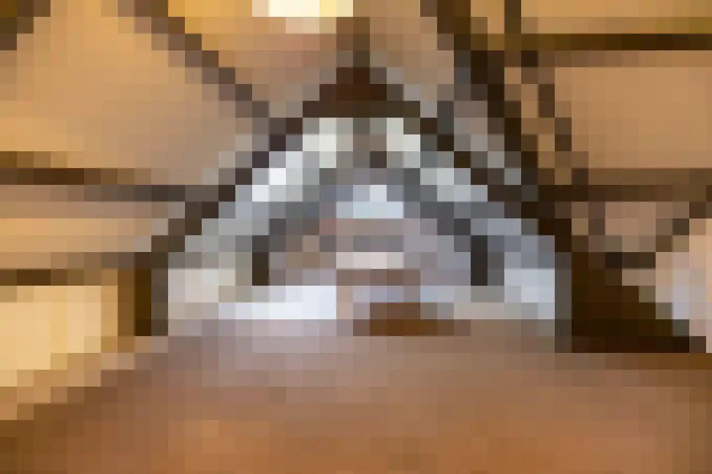 Reigerhof 3 Ten Boer thumbnail 37
