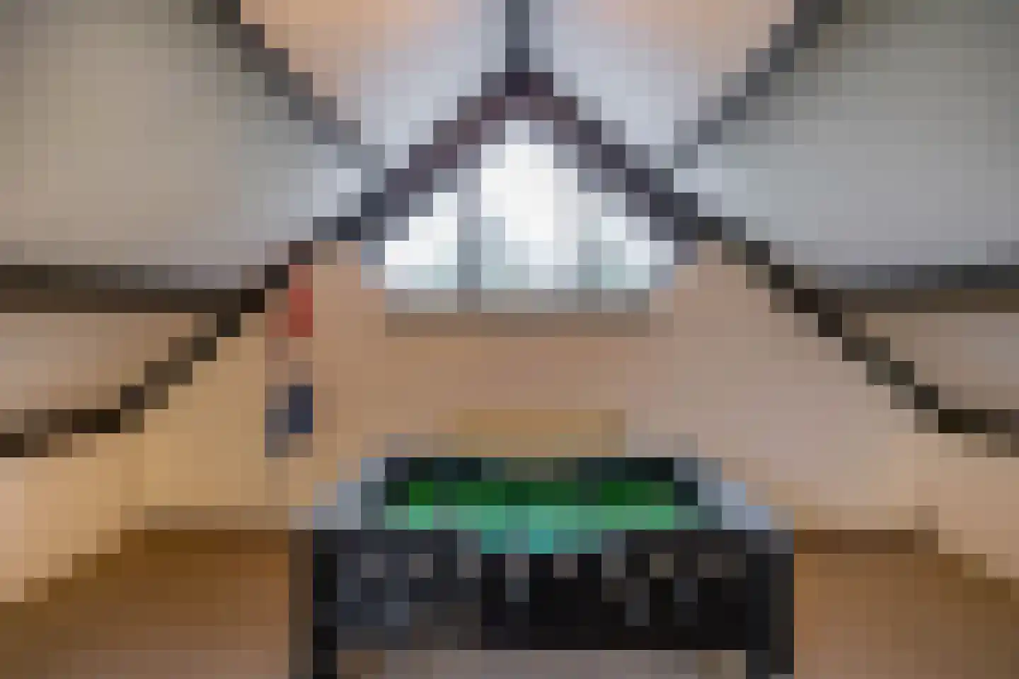 Reigerhof 3 Ten Boer thumbnail 38