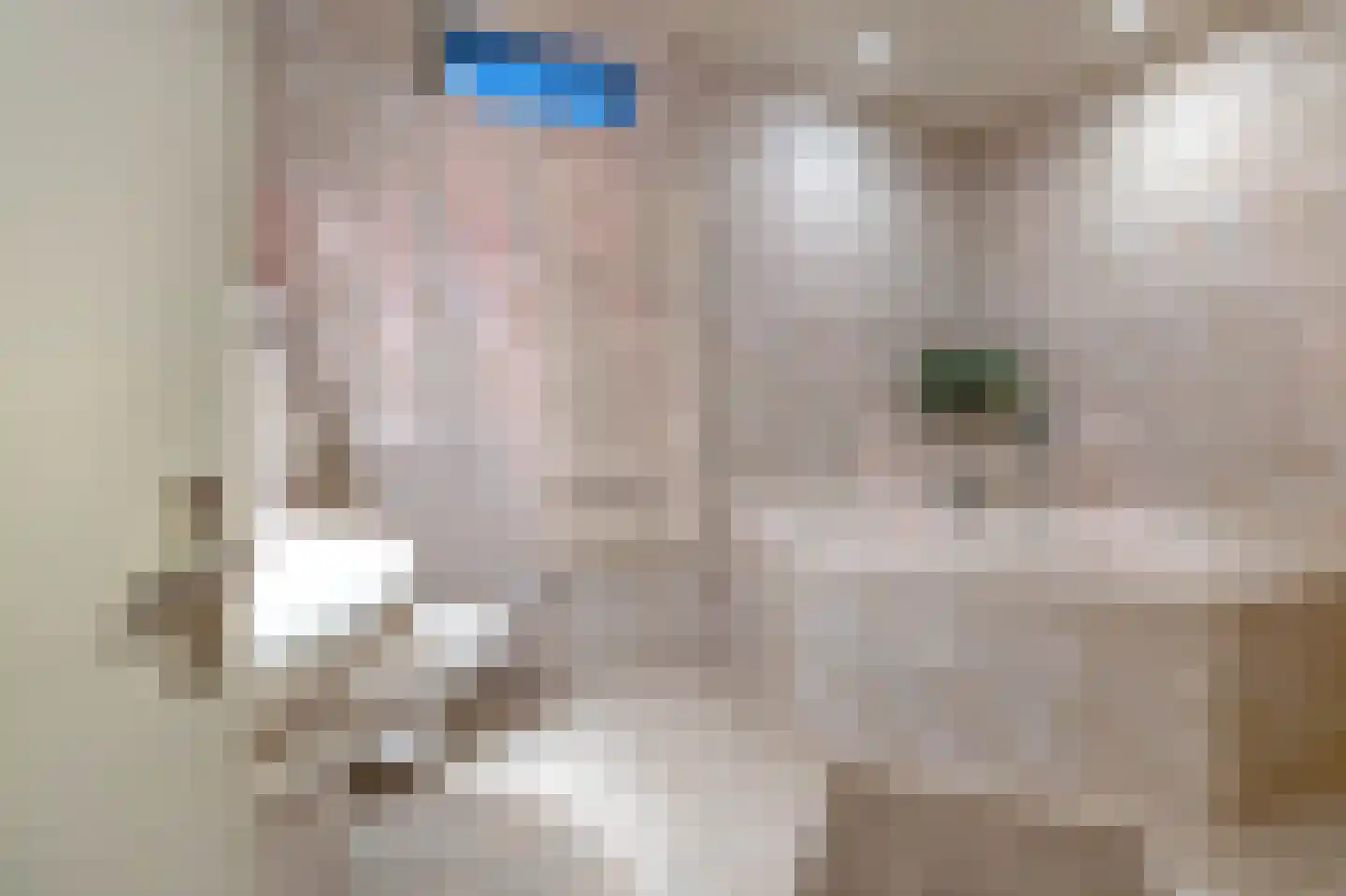 Reigerhof 3 Ten Boer thumbnail 4