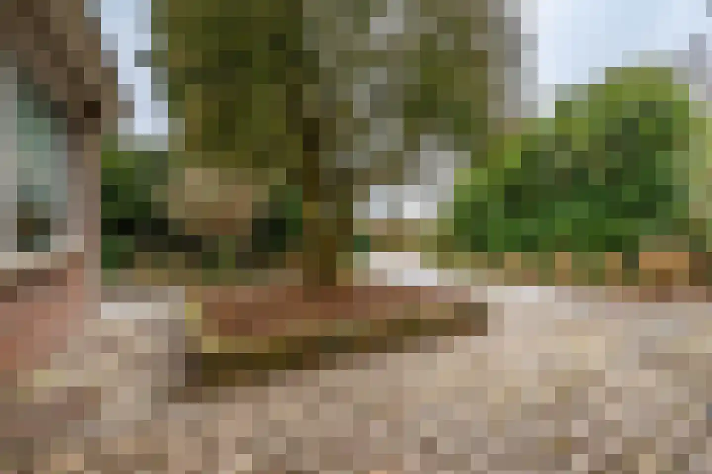 Reigerhof 3 Ten Boer thumbnail 46