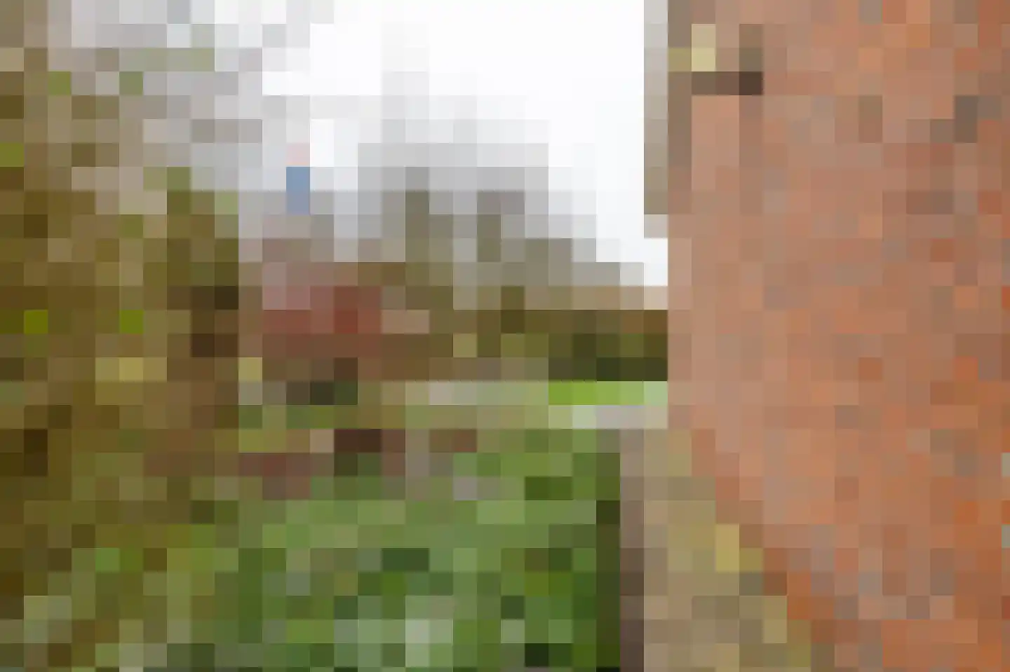 Reigerhof 3 Ten Boer thumbnail 48