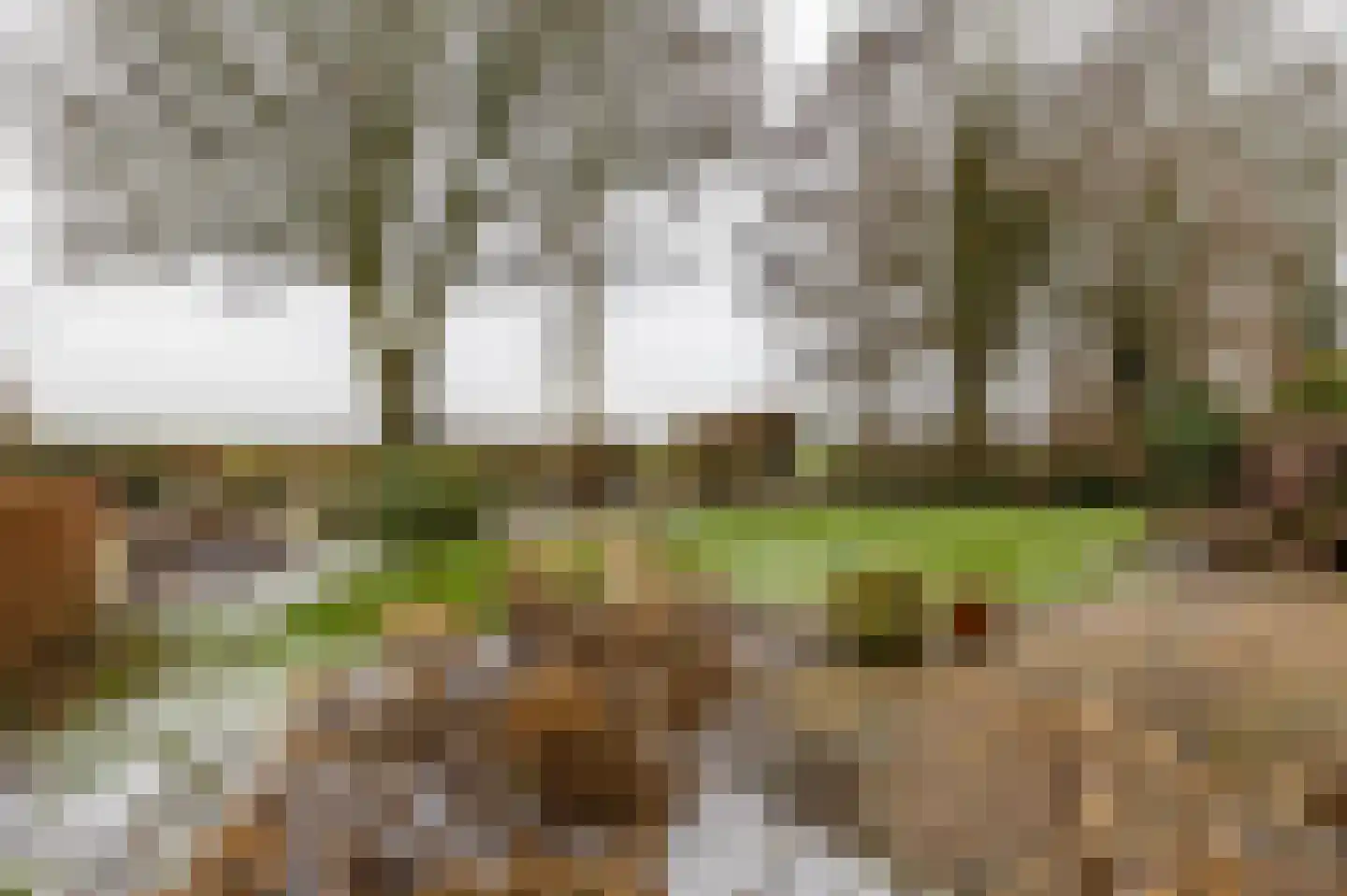 Reigerhof 3 Ten Boer thumbnail 50
