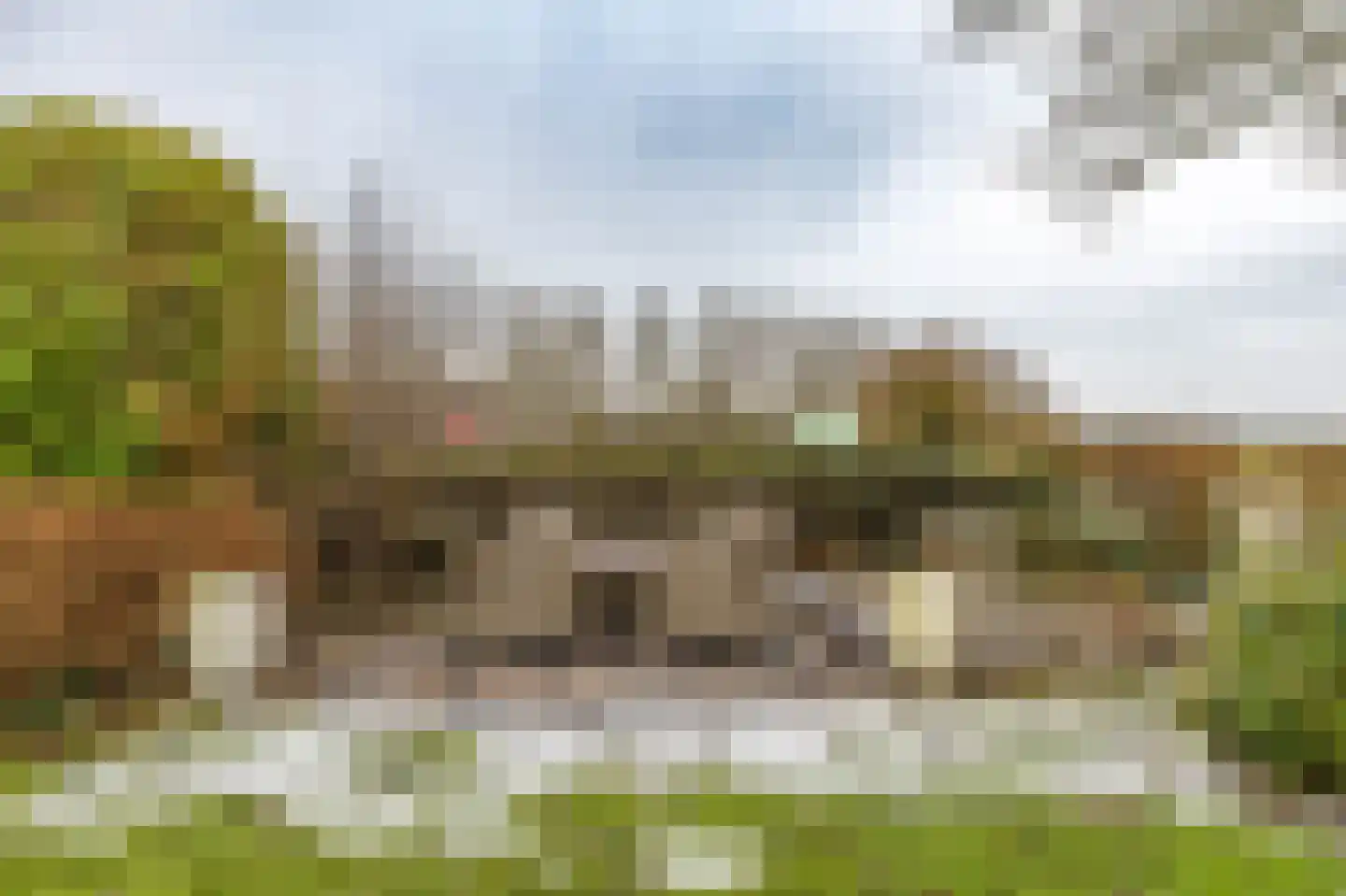 Reigerhof 3 Ten Boer thumbnail 52