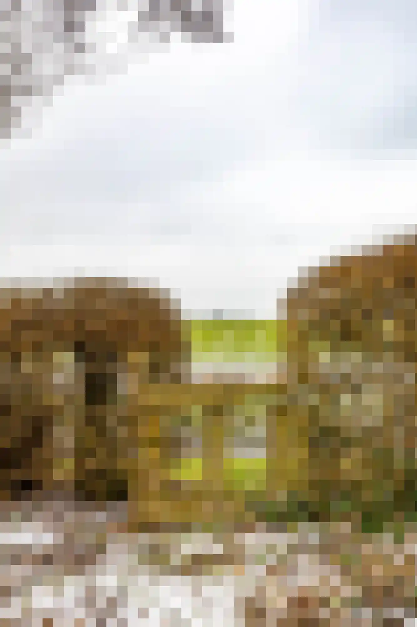 Reigerhof 3 Ten Boer thumbnail 55