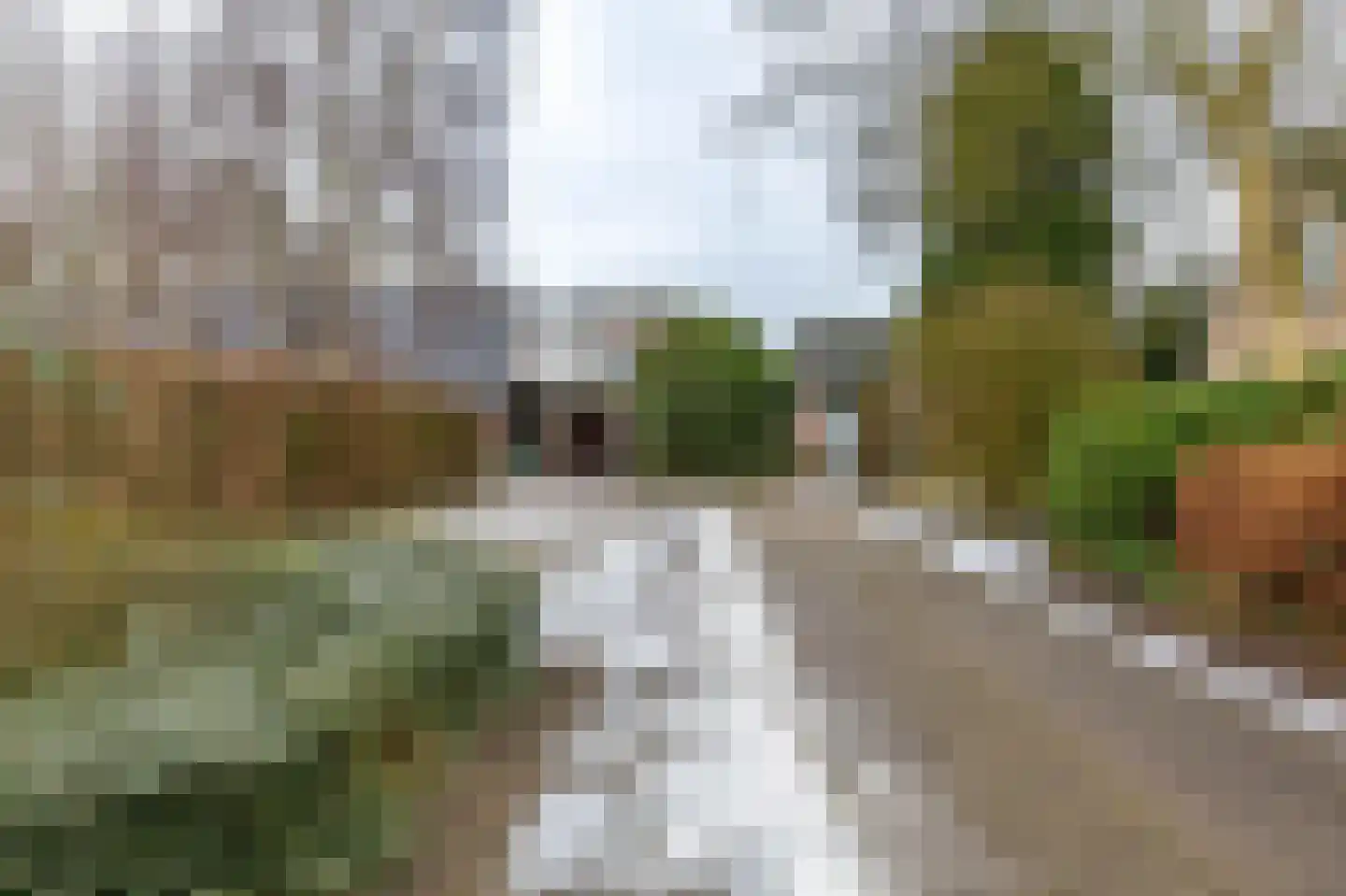 Reigerhof 3 Ten Boer thumbnail 6
