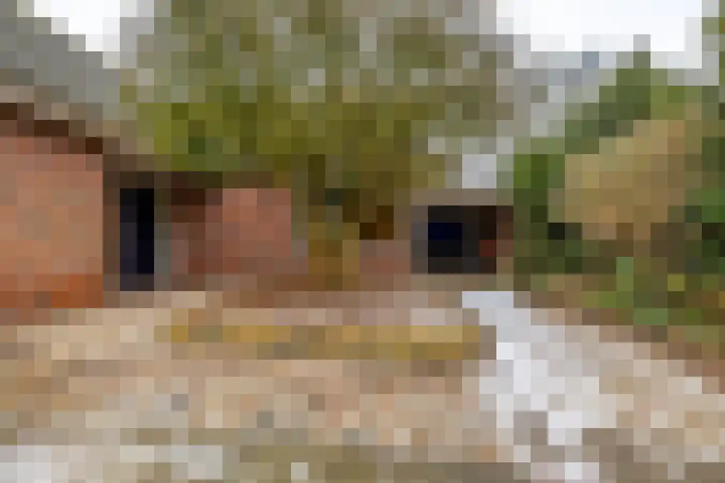 Reigerhof 3 Ten Boer thumbnail 8