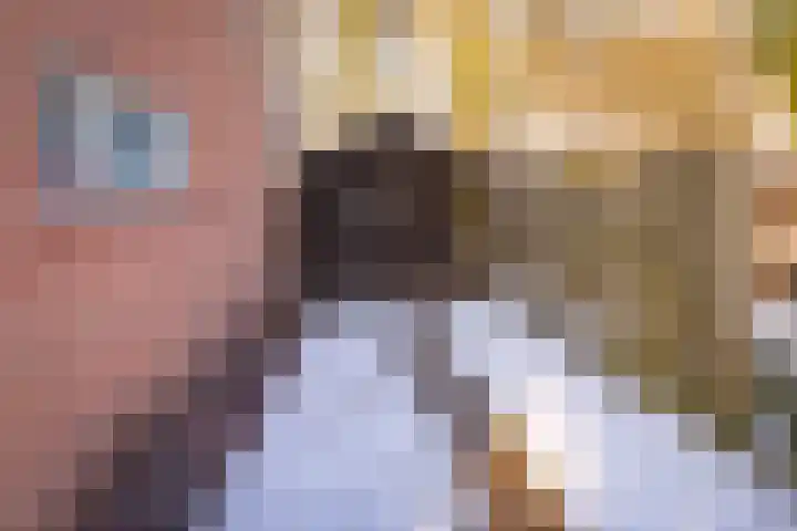 Reigerhof 4 Ter Apel thumbnail 11