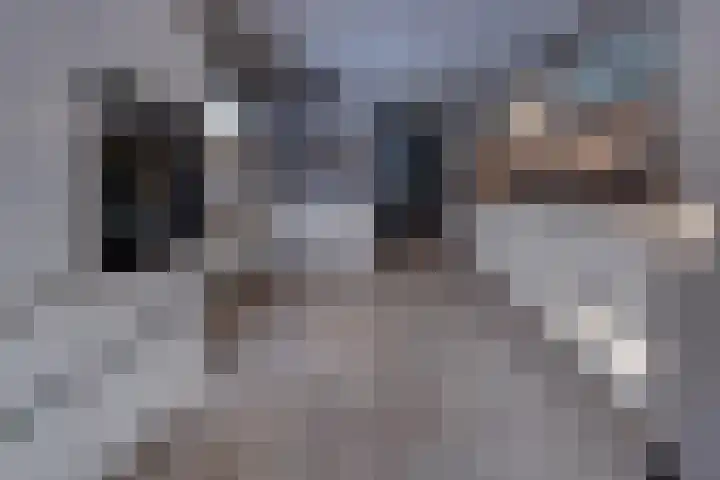 Reigerhof 4 Ter Apel thumbnail 17