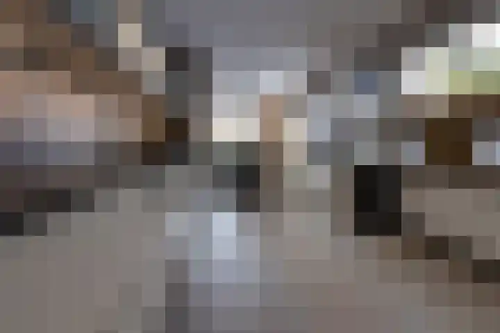 Reigerhof 4 Ter Apel thumbnail 19
