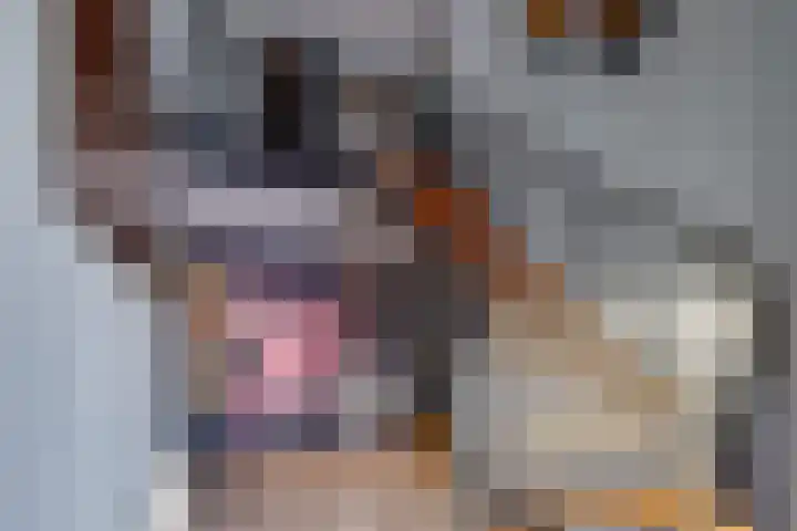 Reigerhof 4 Ter Apel thumbnail 29