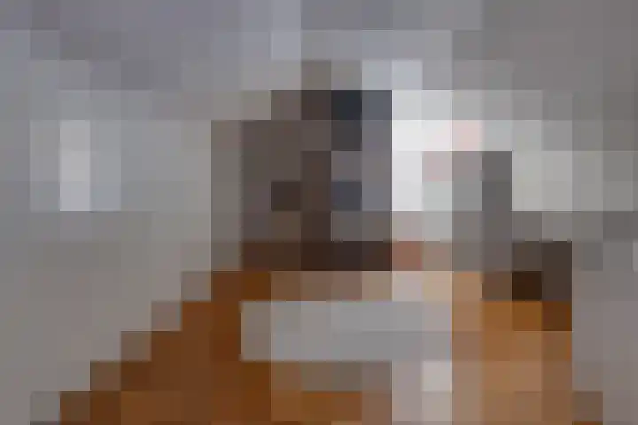 Reigerhof 4 Ter Apel thumbnail 31