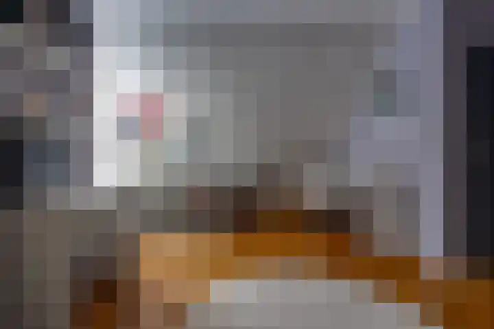 Reigerhof 4 Ter Apel thumbnail 32