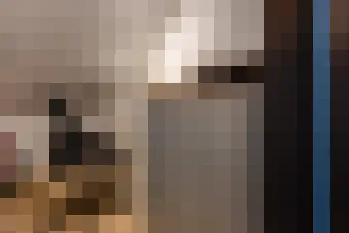 Reigerhof 4 Ter Apel thumbnail 38