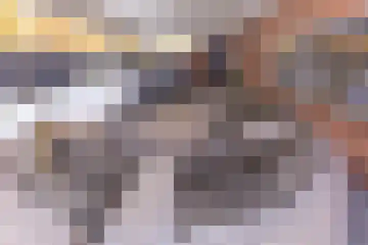 Reigerhof 4 Ter Apel thumbnail 44