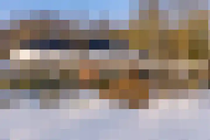 Reigerhof 4 Ter Apel thumbnail 5