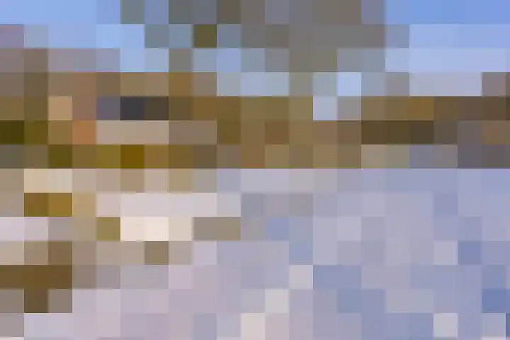 Reigerhof 4 Ter Apel thumbnail 8