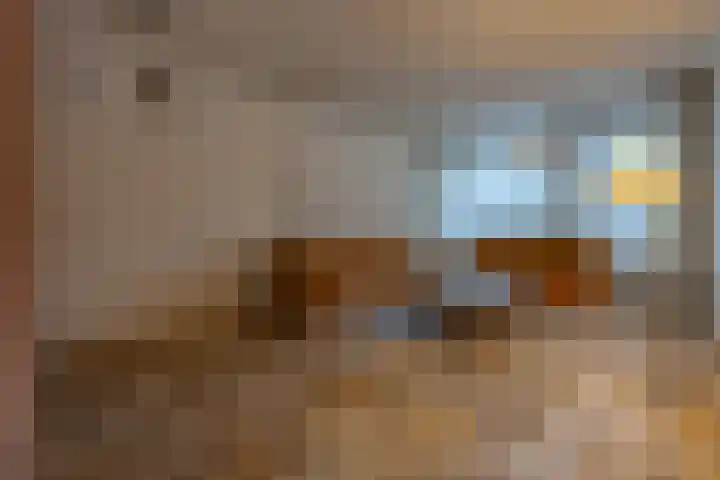 Reigerhof 47 Ter Apel thumbnail 10