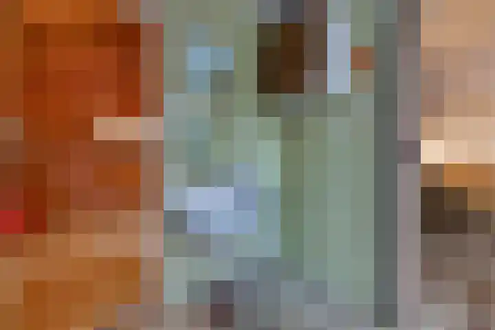 Reigerhof 47 Ter Apel thumbnail 19