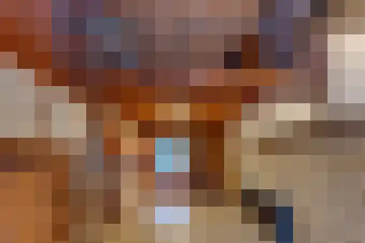 Reigerhof 47 Ter Apel thumbnail 20