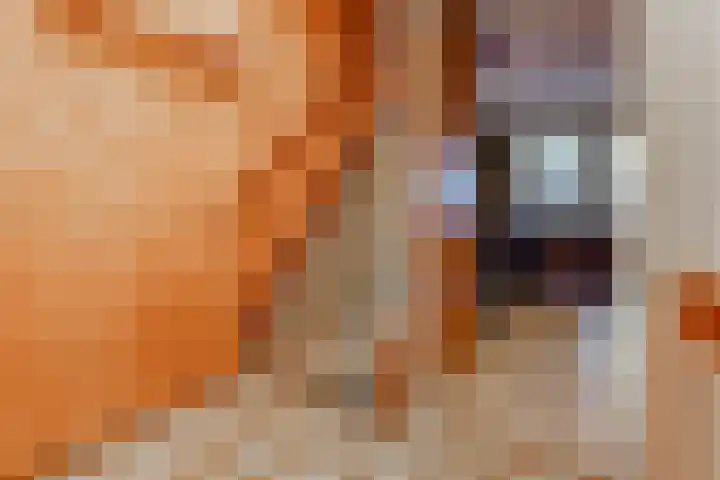 Reigerhof 47 Ter Apel thumbnail 25