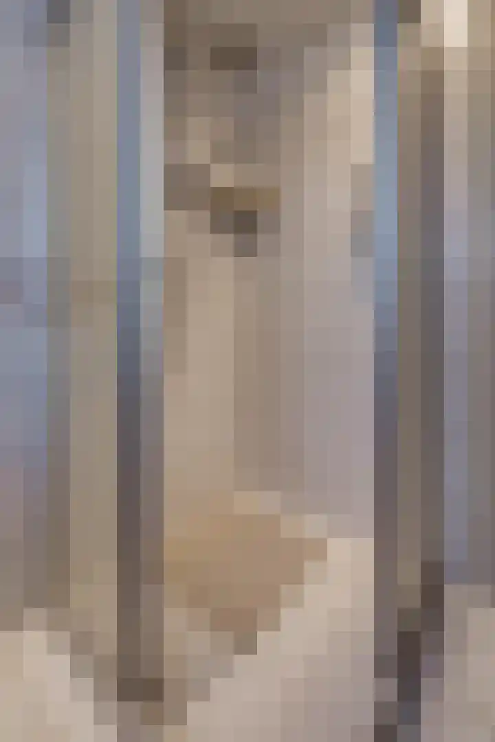 Reigerhof 47 Ter Apel thumbnail 28