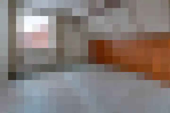 Reigerhof 47 Ter Apel thumbnail 30