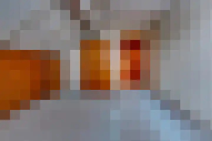 Reigerhof 47 Ter Apel thumbnail 31