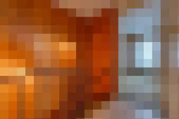 Reigerhof 47 Ter Apel thumbnail 32